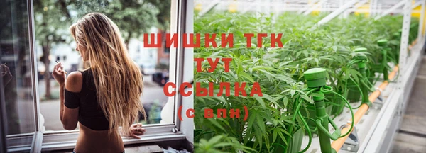молекула духа Касимов
