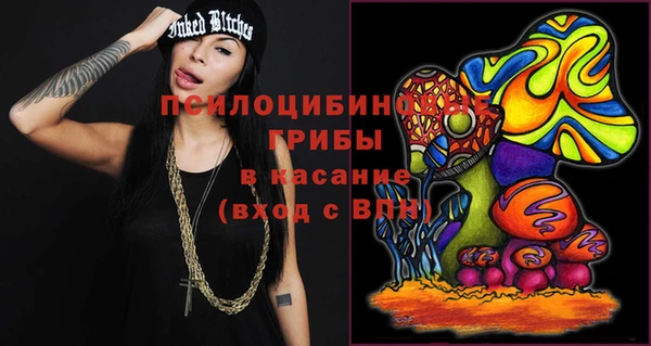 молекула духа Касимов