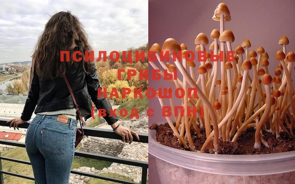 молекула духа Касимов
