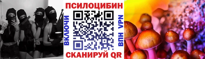 Псилоцибиновые грибы мухоморы  Купить  Дальнегорск 